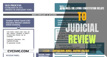 The Living Constitution: Judicial Review's Dynamic Impact