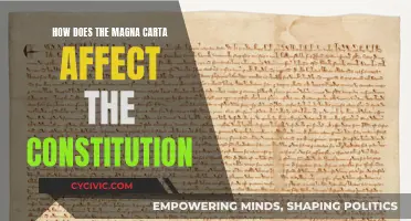 The Magna Carta's Influence on the US Constitution