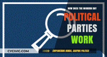 Understanding Modern Political Parties: Structures, Strategies, and Influence Today