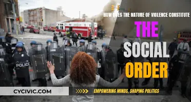 Violence and Social Order: Understanding the Complex Relationship