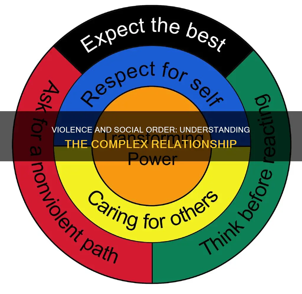 how does the nature of violence constitute the social order