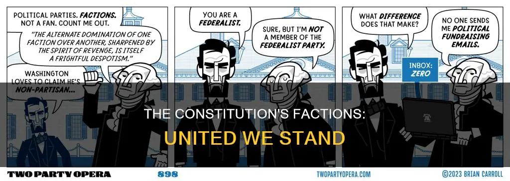 how does the new constitution handle the problem of factions