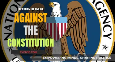 NSA Surveillance: Violating the Constitution's Privacy Rights