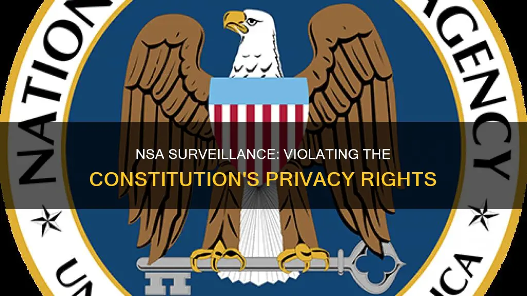 how does the nsa go against the constitution
