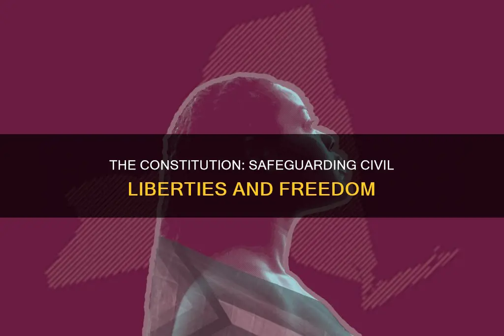 how does the original constitution effectively protect civil liberties