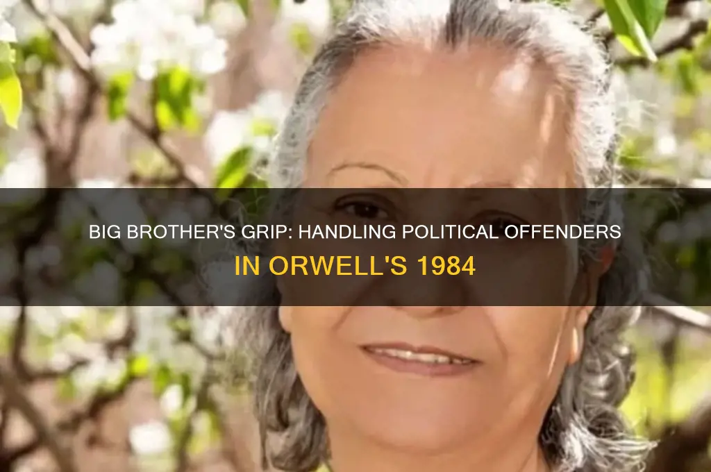 how does the party address political offenders in 1984