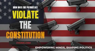 Patriot Act: Unconstitutional Violations of Civil Liberties