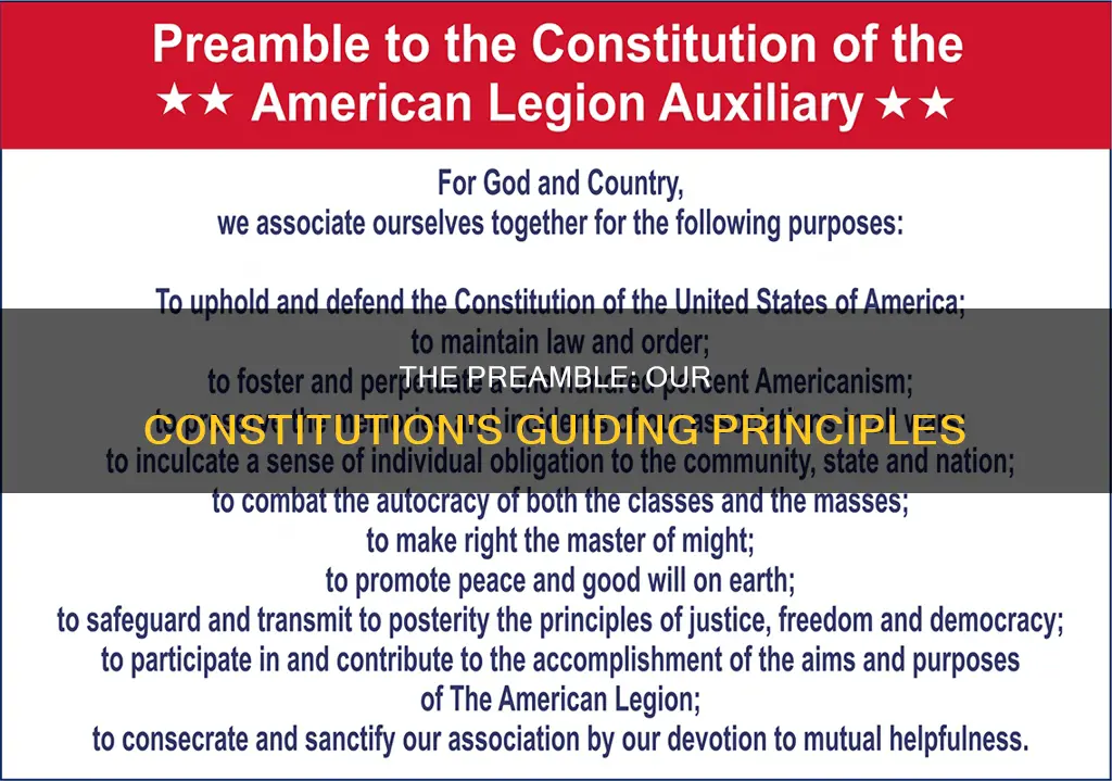 how does the preamble reflects the constitutional principle