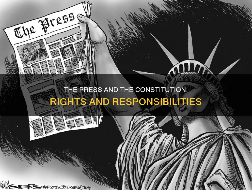 how does the press use the provision of the constitution