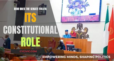 The Senate's Constitutional Role: Understanding Its Fulfillment