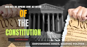 The Supreme Court: Defending the Constitution