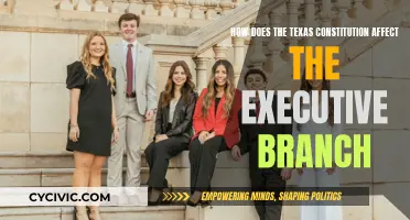 Texas Constitution: Executive Branch Powers and Limits