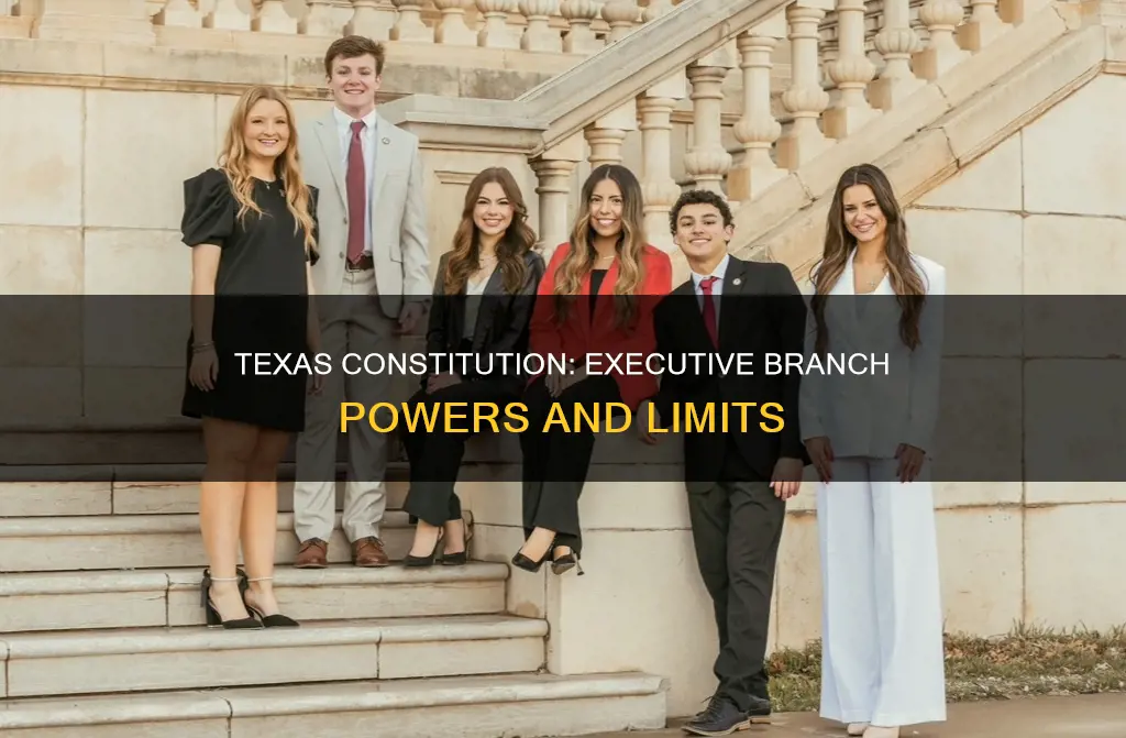 how does the texas constitution affect the executive branch
