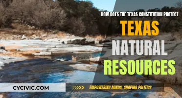 Texas Constitution: Safeguarding Lone Star State's Natural Treasures