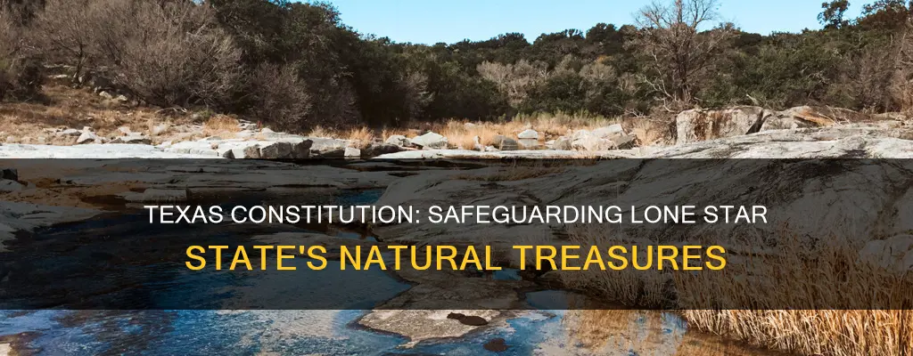 how does the texas constitution protect texas natural resources