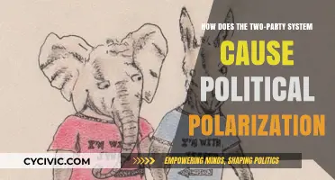 How the Two-Party System Fuels Political Polarization in America