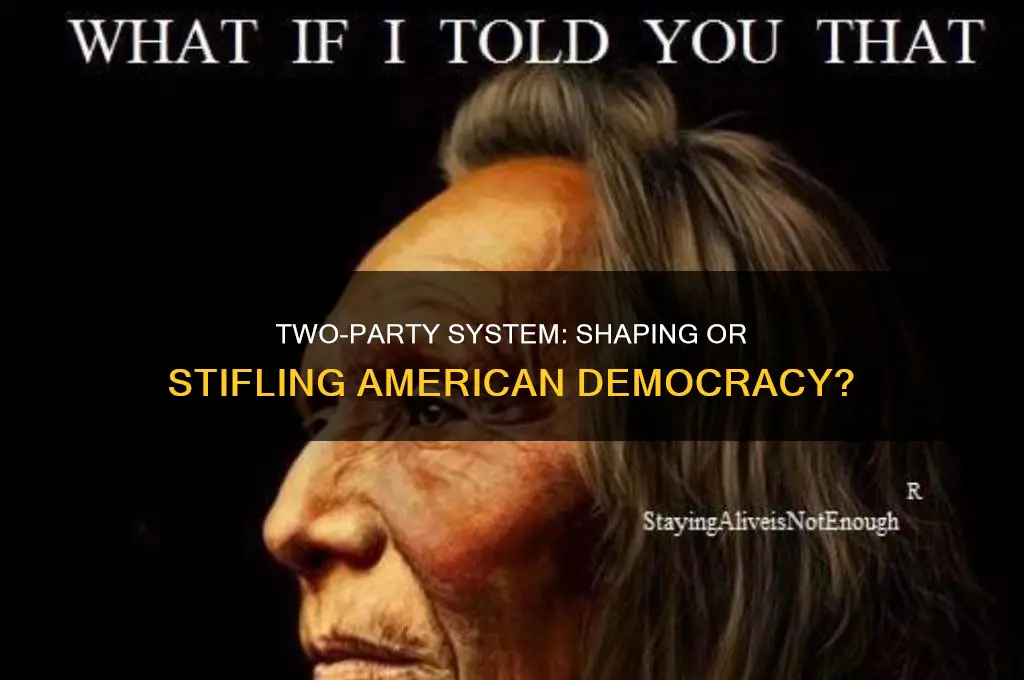 how does the two party system influence american democracy
