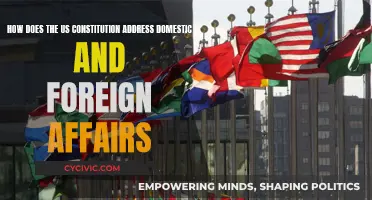 Constitution's Role: Domestic and Foreign Affairs