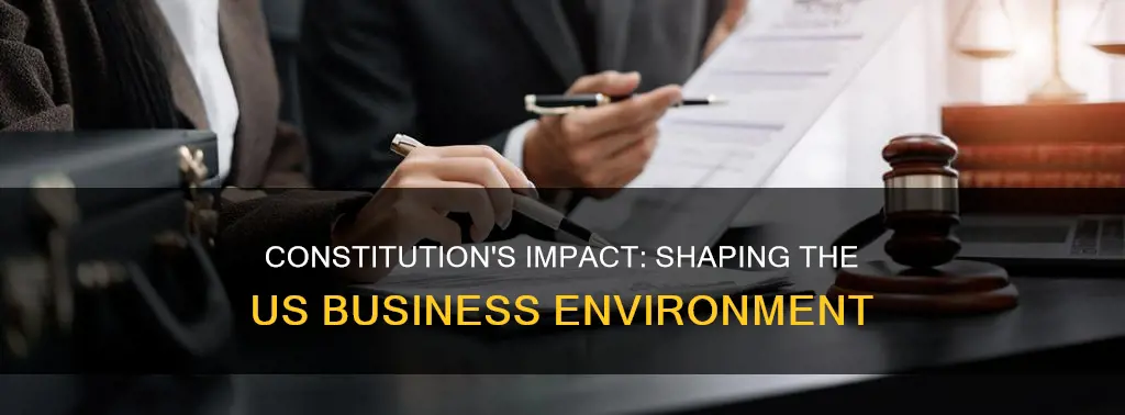 how does the us constitution affect the business environment
