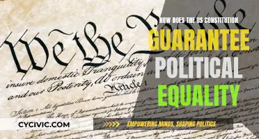 The Constitution: Political Equality's Foundation