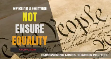 US Constitution: Equality's Elusive Promise
