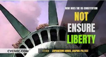 The US Constitution: Liberty's False Promise