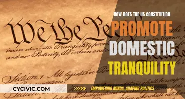 Constitution's Role: Peace at Home