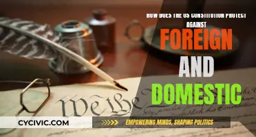 The US Constitution: Defending Against Foreign and Domestic Threats