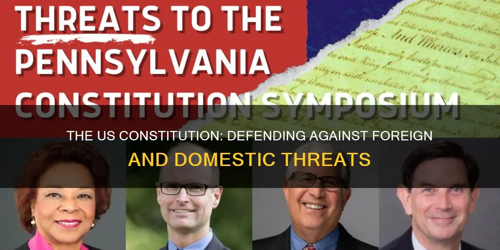 how does the us constitution protect against foreign and domestic