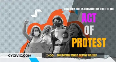 The US Constitution: Protecting the Right to Protest