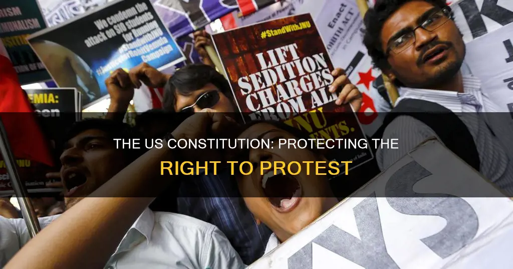 how does the us constitution protect the act of protest