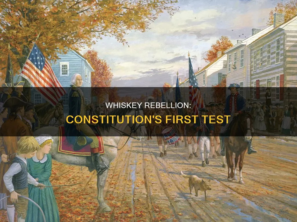 how does the whiskey rebellion test the new constitution