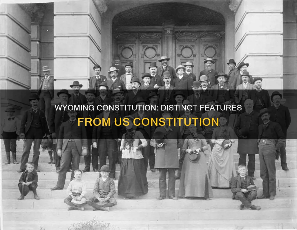 how does the wyoming constitution differ from the us constitution