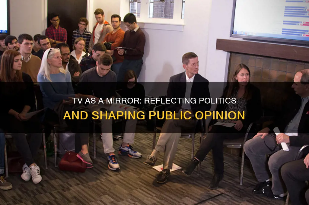 how does tv reflect political