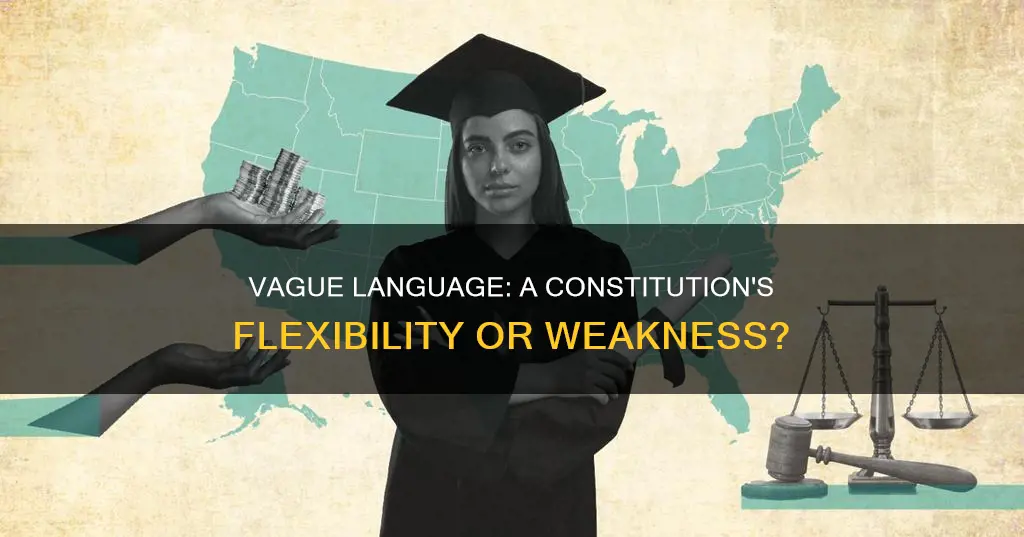 how does vague language contribute to the constitution