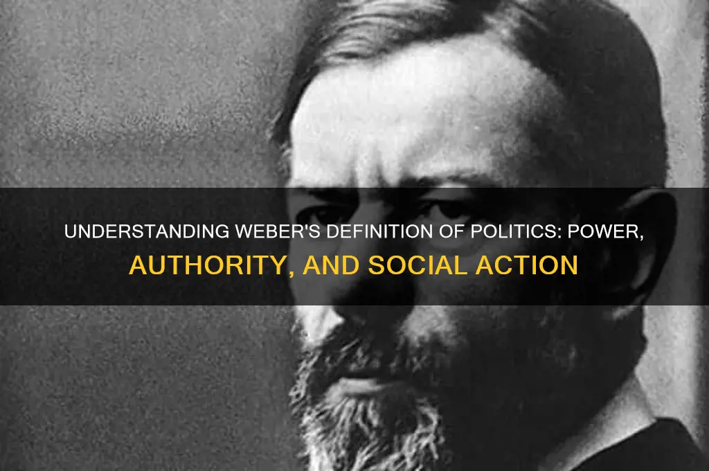 how does weber define politics