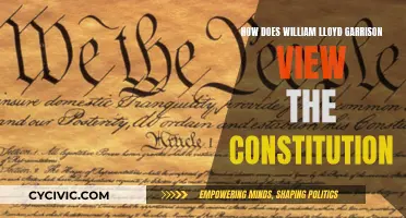 Garrison's Constitution: A Radical View