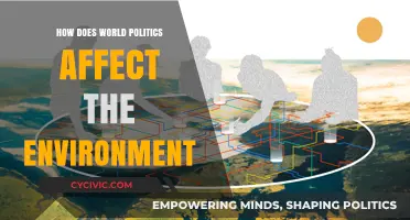 Global Politics and Environmental Impact: A Complex Relationship