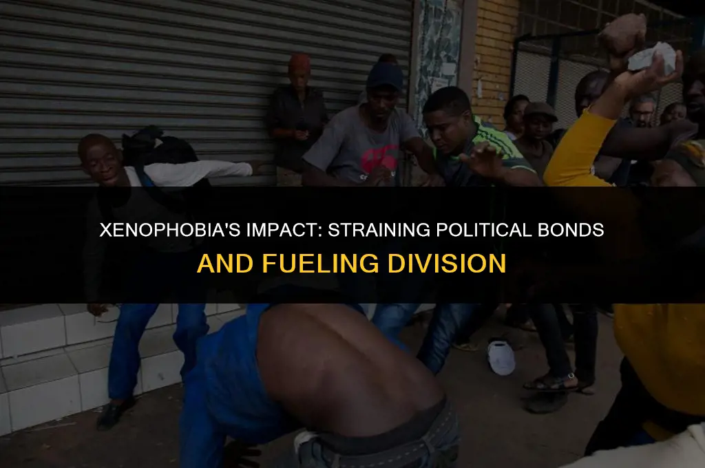 how does xenophobia affect political relationships