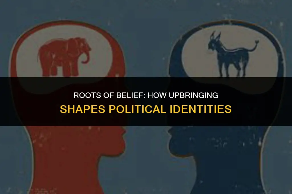 how does your background and upbringing establish our political affiliations
