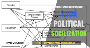 Shaping Beliefs: The Impact of Nationality on Political Socialization
