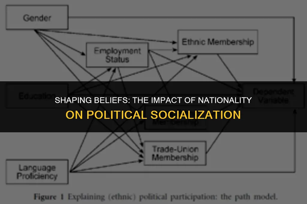 how does your country affect your political socilization
