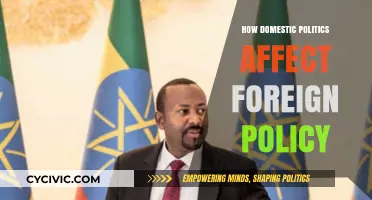 Domestic Dynamics: The Ripple Effect on Global Diplomacy