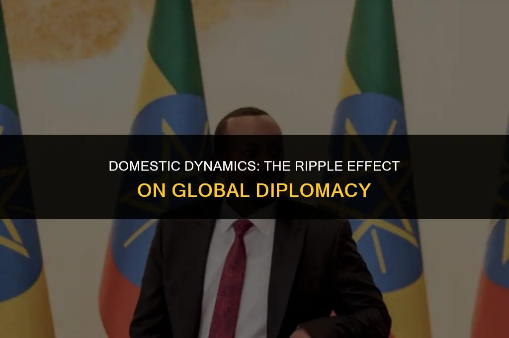 how domestic politics affect foreign policy