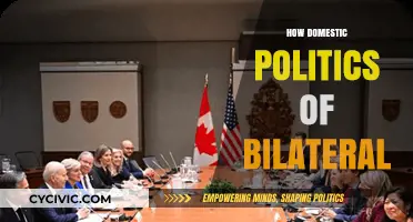 Domestic Politics Shaping Bilateral Relations: Dynamics, Challenges, and Implications