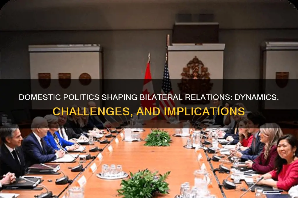 how domestic politics of bilateral
