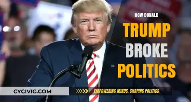 Trump's Disruptive Legacy: How He Shattered Political Norms Forever