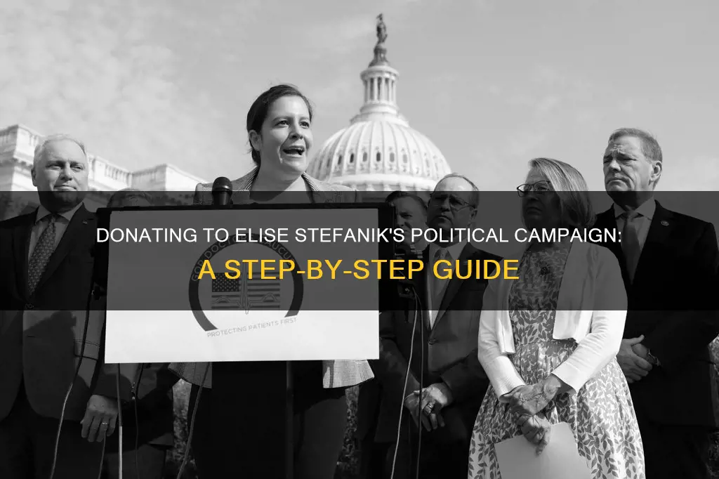 how donate to elise stefanik political campaign