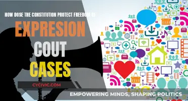 The Constitution's Protection of Free Speech: Court Cases