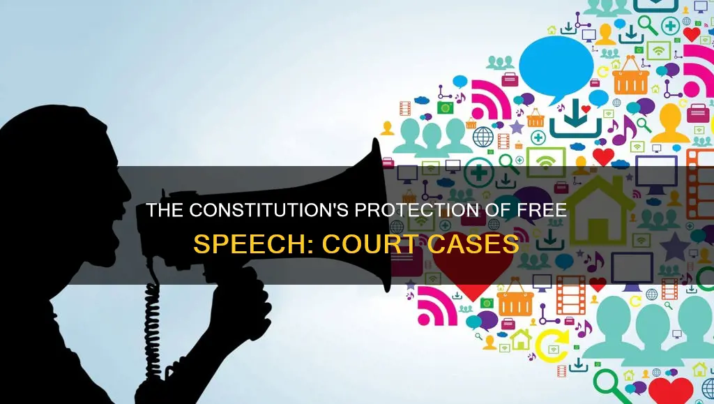 how dose the constitution protect freedom of expresion cout cases